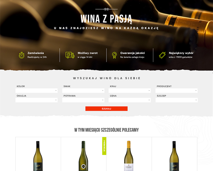 Portfolio Bachus - widok PC