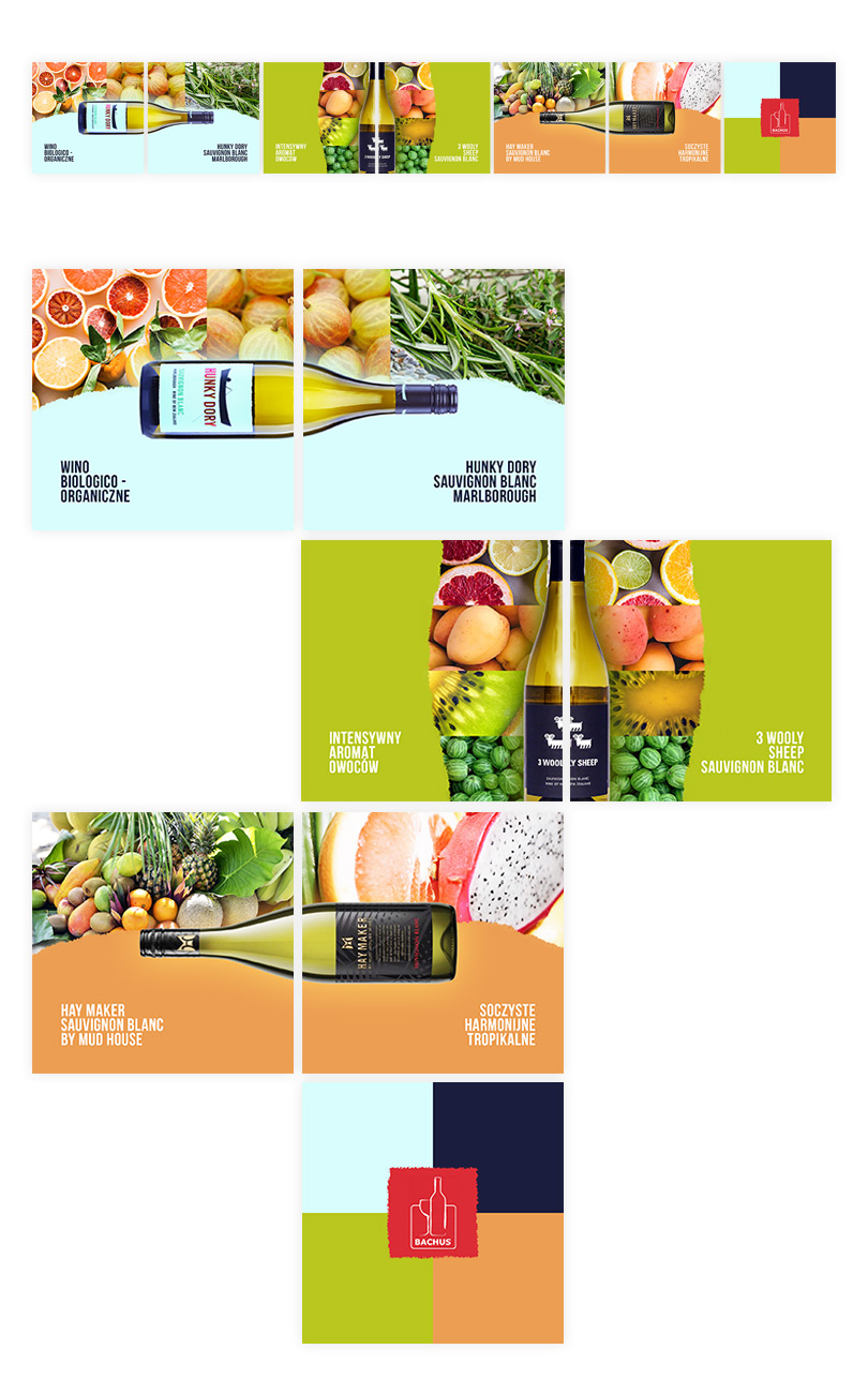 Portfolio Bachus - kampania bannerowa