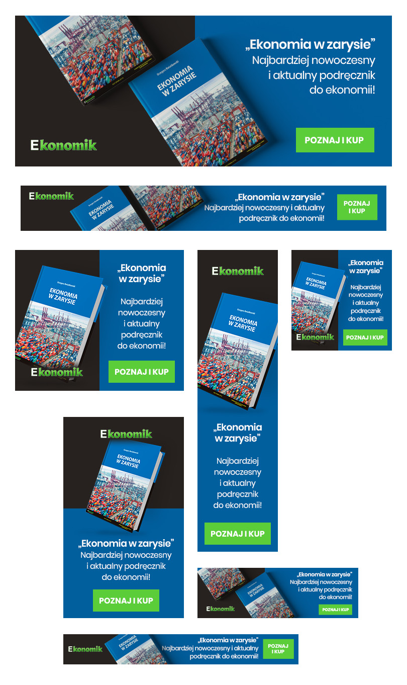 Portfolio Ekonomik - kampania bannerowa