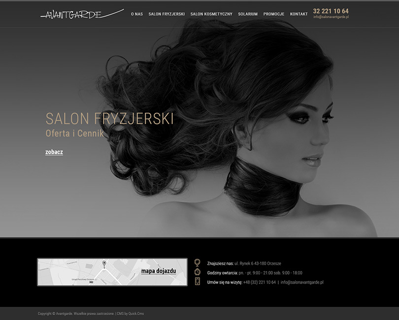 Portfolio Avantgarde - widok PC