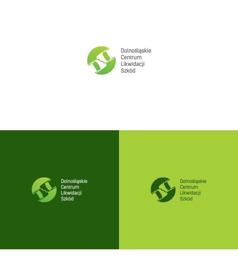 Portfolio DCLS - identyfikacja