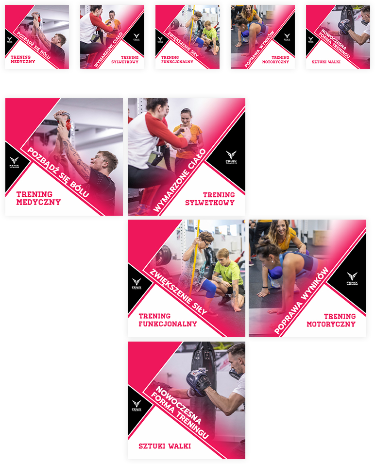 Portfolio Fenix Training - kampania bannerowa