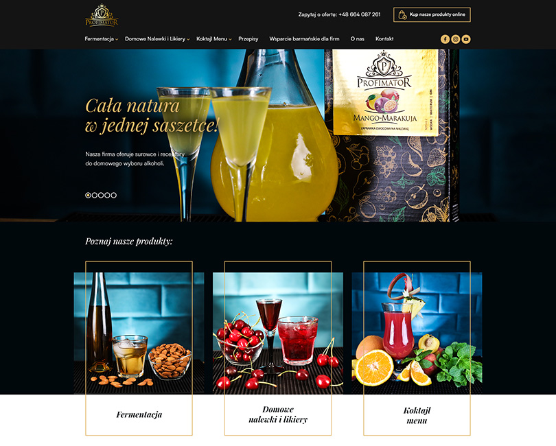 Portfolio Profimator - widok PC