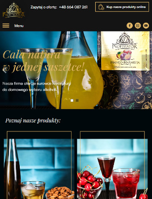Portfolio Profimator - widok Tablet