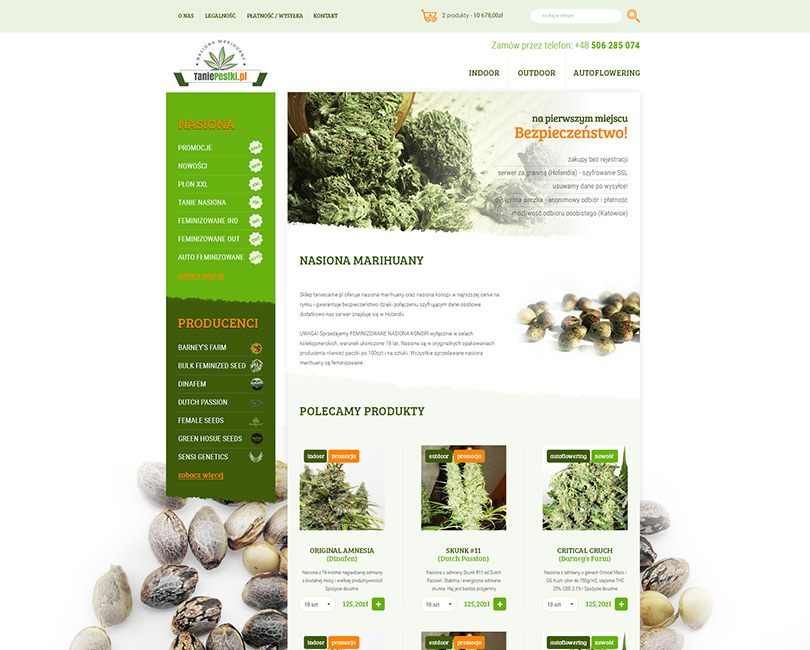 Portfolio Tanie Pestki - widok PC