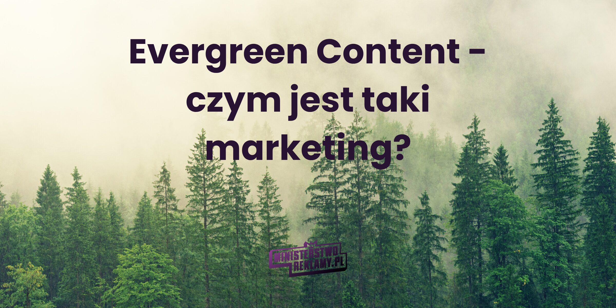 Evergreen Content co to jest?