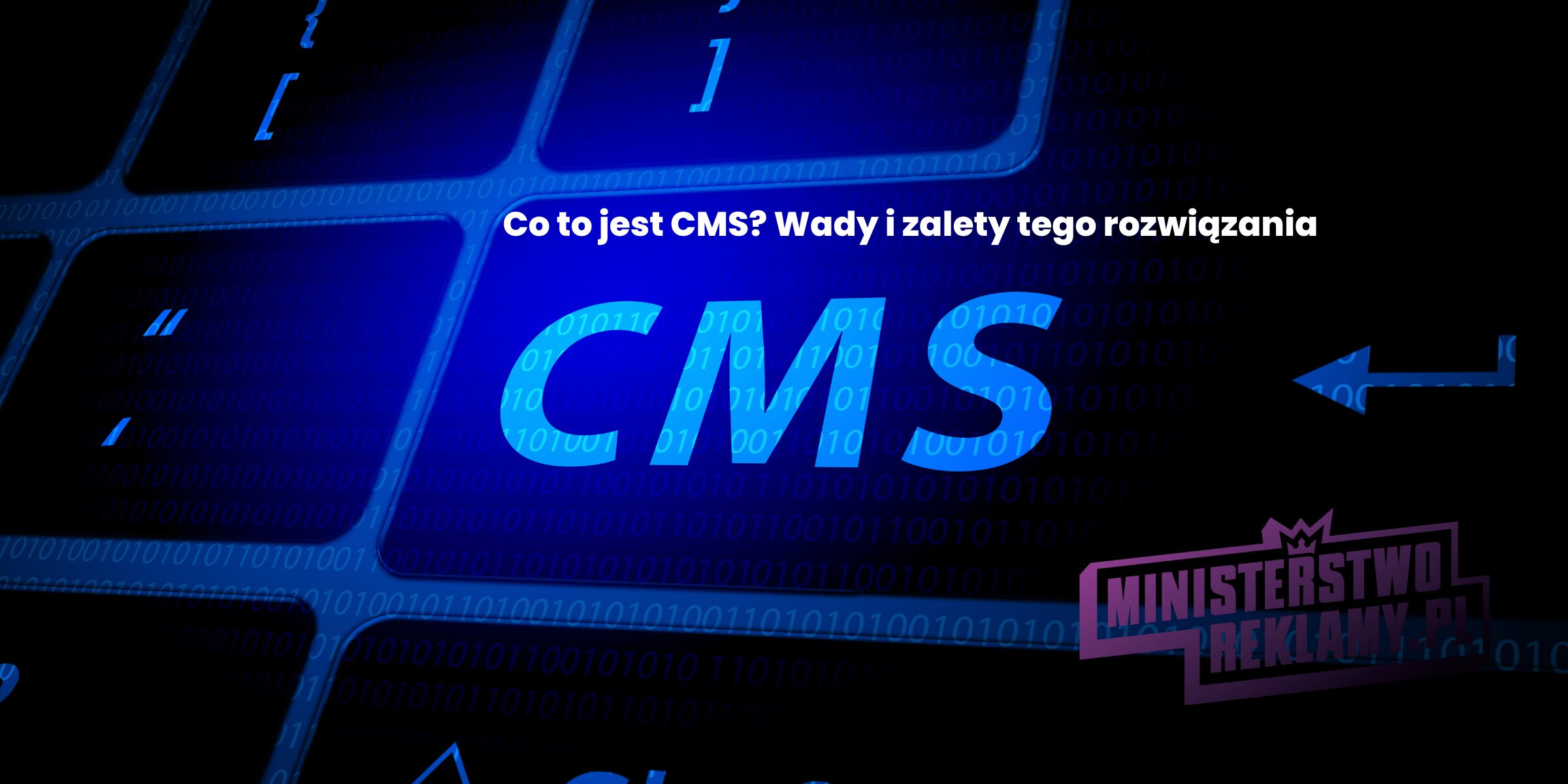 Co to jest CMS? Wady i zalety tego rozwiązania